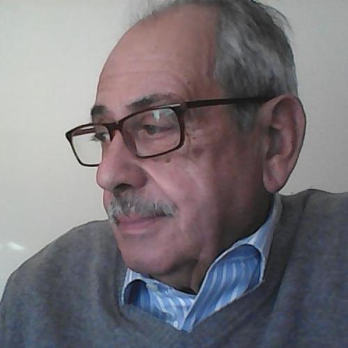 Carlos Manuel Monteiro Marques